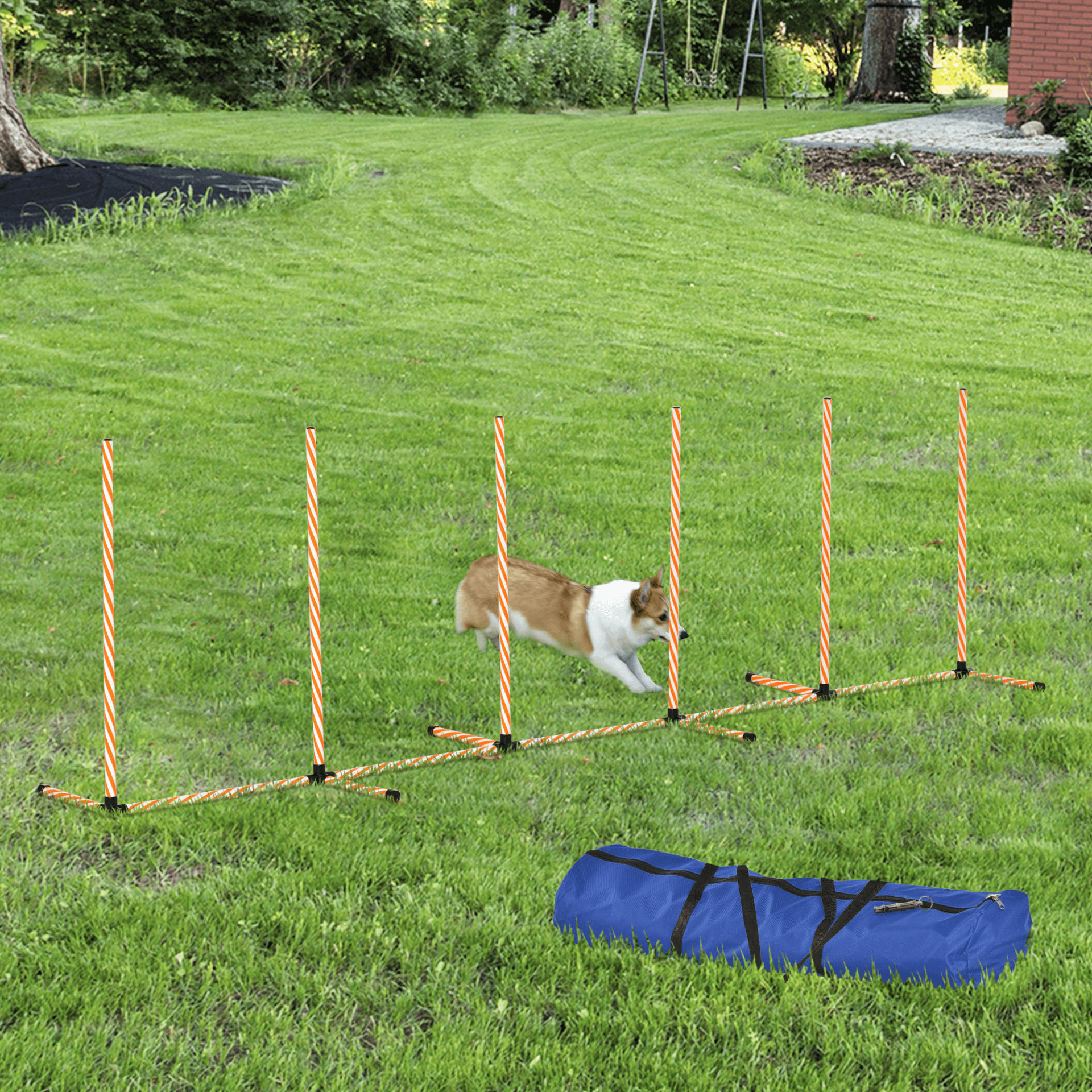 Dog Agility Training Equipment Set - Complete Kit, Boost your dog's fitness with PawHut's Dog Agility Training Set. Includes weaves, poles, whistle & carrying bag for effective and fun outdoor training.