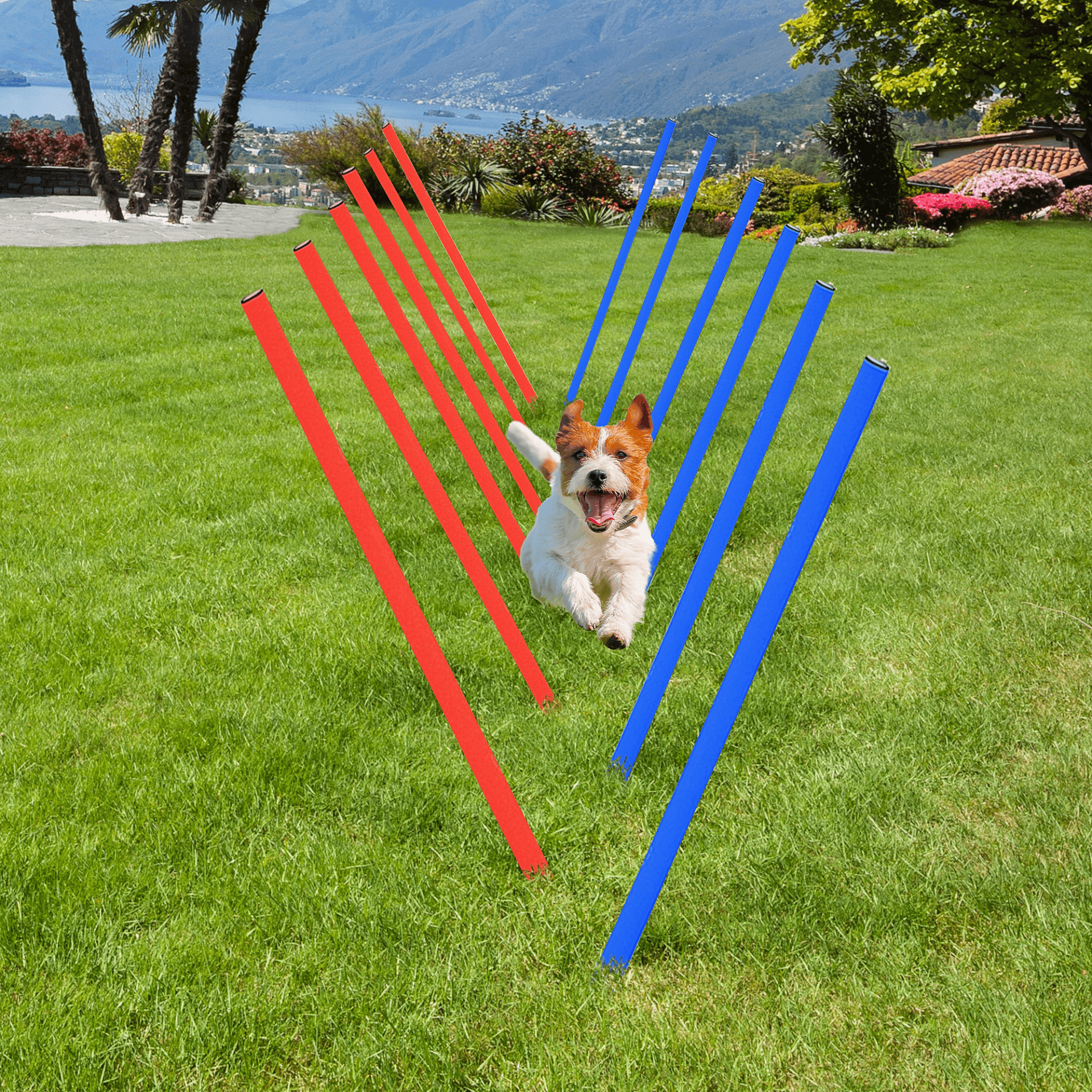 Dog Agility Training Kit: Bond & Train with Fun, Strengthen your bond & improve your dog's agility with PawHut's easy-setup, fun training equipment. Perfect for parks, fields, or backyards.