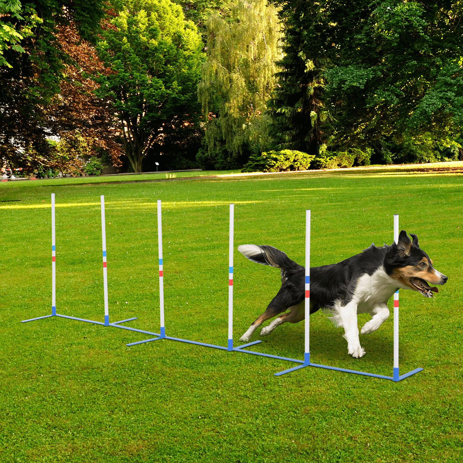 Adjustable Dog Agility Training Obstacle Course Set, Keep your dog active with a versatile agility set. Train with weave poles and more in your backyard. Includes storage bag. Premium exercise equipment for pets.