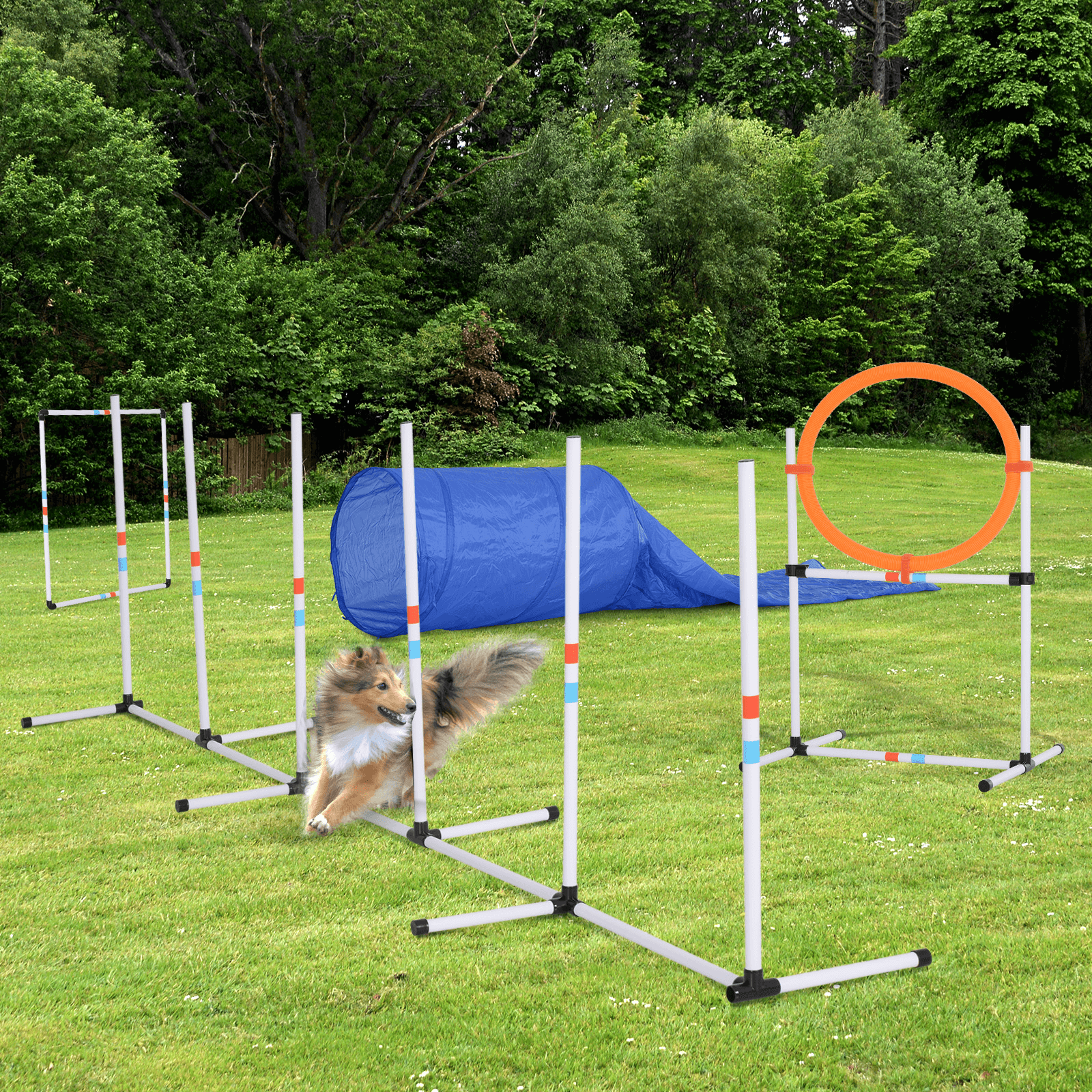 Enhance Your Dog's Play with Pet Agility Training Set, Boost your dog's agility and obedience with our versatile Pet Agility Training Set. Includes jumps, tunnels, weave poles, plus a carry bag for easy transport.