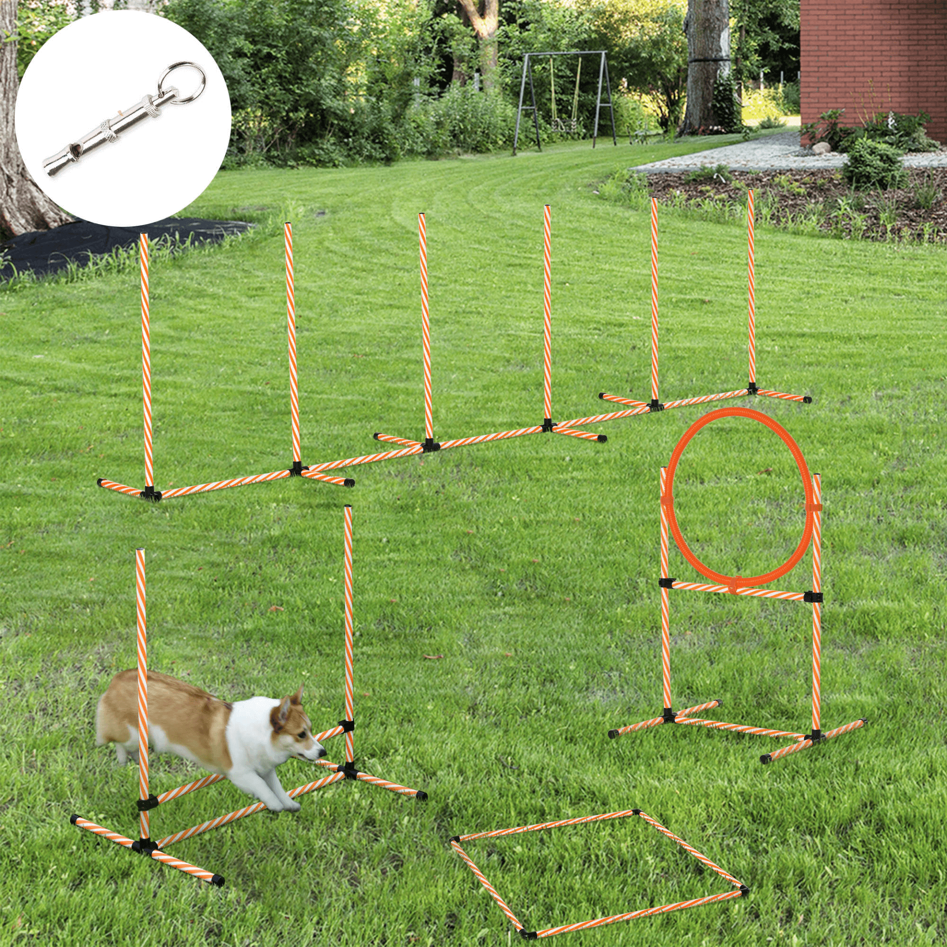 Adjustable Pet Agility Training Set - Dog Fitness & Bonding, Boost your dog's fitness with our Pet Agility Training Equipment Set. Complete with high jumper, jump ring, weave poles, and more. Perfect for all dog sizes.