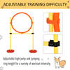 Portable Pet Agility Training Obstacle Set for Dogs, Enhance your dog's agility skills with the adjustable high jump, jumping ring, and turnstile poles. Perfect for all dog trainers.