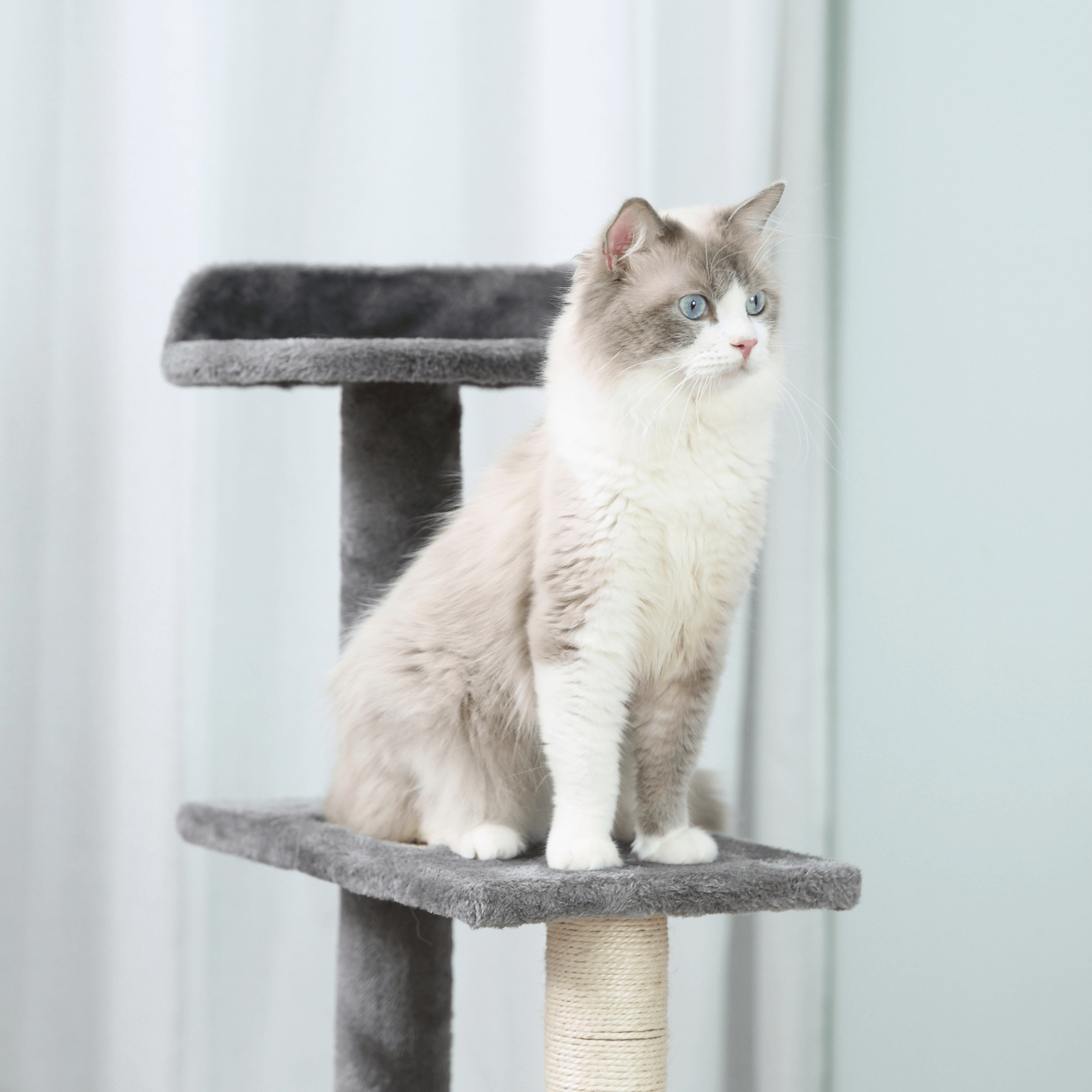 PawHut 100 cm Cat Tree - Grey | Multi-Level Activity Center, Entertain and comfort your cats with PawHut's 100 cm multi-level cat tree. Features cozy perches, scratching posts, and a spiral design.