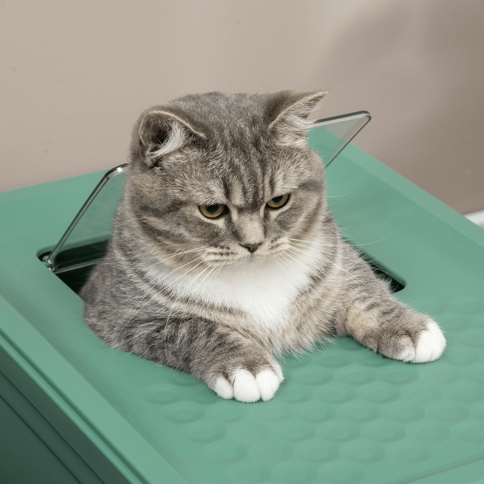 PawHut Hooded Cat Litter Box - Green, Enclosed & Portable, Ensure your cat's comfort with PawHut's hooded litter box, designed for privacy and effective odor control. Perfect for any pet owner.