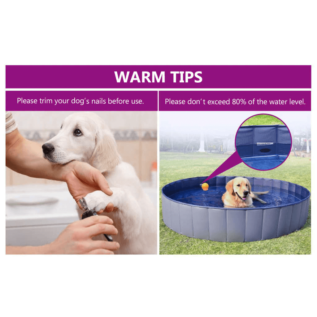 Foldable Dog Pool Blue 160x30cm - Beat the Heat Refresh your pet with our Foldable Dog Pool. Easy storage, anti-slip & perfect for summer. Shop now & keep your dog cool.