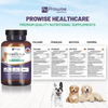 Pet Probiotic Plus - 2 Billion CFU, 60 Chewable Tablets, Support your dog's digestive & immune health with Pet Probiotic Plus, featuring 5 active strains, Inulin, and Psyllium Husk. Chicken flavor, 2 months supply.