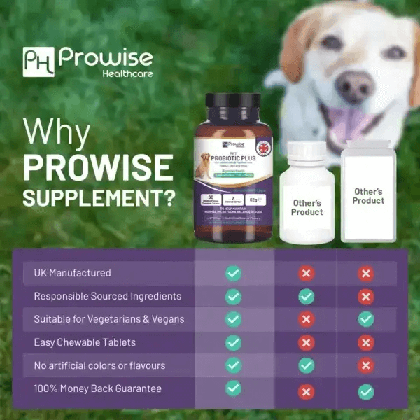 Pet Probiotic Plus - 2 Billion CFU, 60 Chewable Tablets, Support your dog's digestive & immune health with Pet Probiotic Plus, featuring 5 active strains, Inulin, and Psyllium Husk. Chicken flavor, 2 months supply.