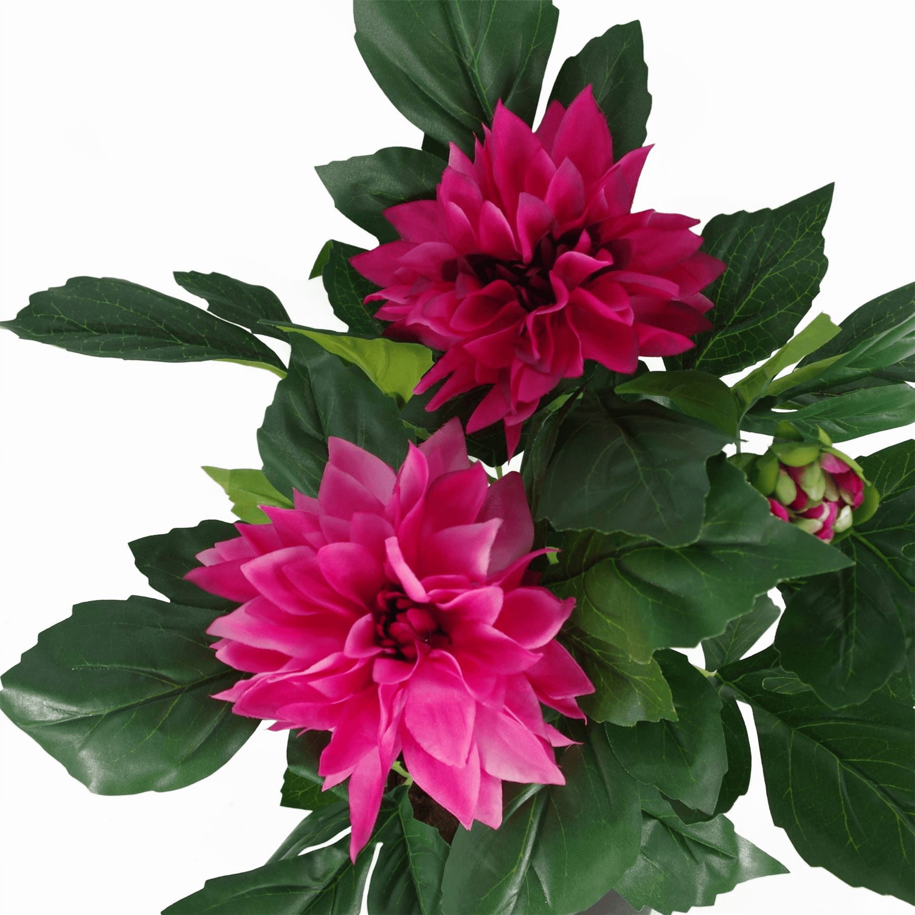 Elegant Pink Artificial Dhalia Flowers | Leaf Design UK, Elevate your space with Leaf Design UK's Pink Artificial Dhalia Flowers. Perfect for any home or office. Premium quality with a lifelike look.