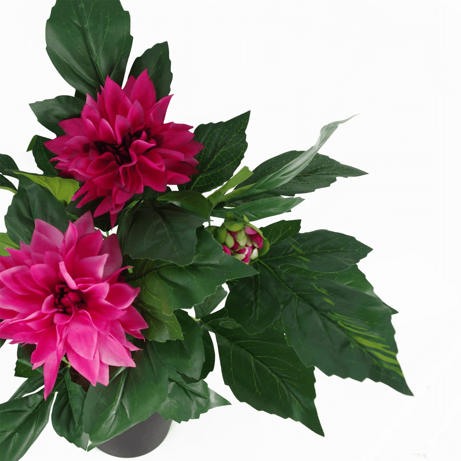 Elegant Pink Artificial Dhalia Flowers | Leaf Design UK, Elevate your space with Leaf Design UK's Pink Artificial Dhalia Flowers. Perfect for any home or office. Premium quality with a lifelike look.