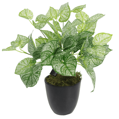 Lifelike 40cm Caladium Artificial Plant Pot, Enhance your decor with our 40cm lifelike Caladium Artificial Plant Pot. Realistic indoor greenery without the upkeep. Perfect for any space!