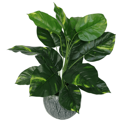 Realistic 60cm Devil Ivy Plant - Artificial Greenery, Enhance your decor with our 60cm artificial Devil Ivy plant. The realistic appearance and variegated leaves are perfect for home, office, and commercial spaces.