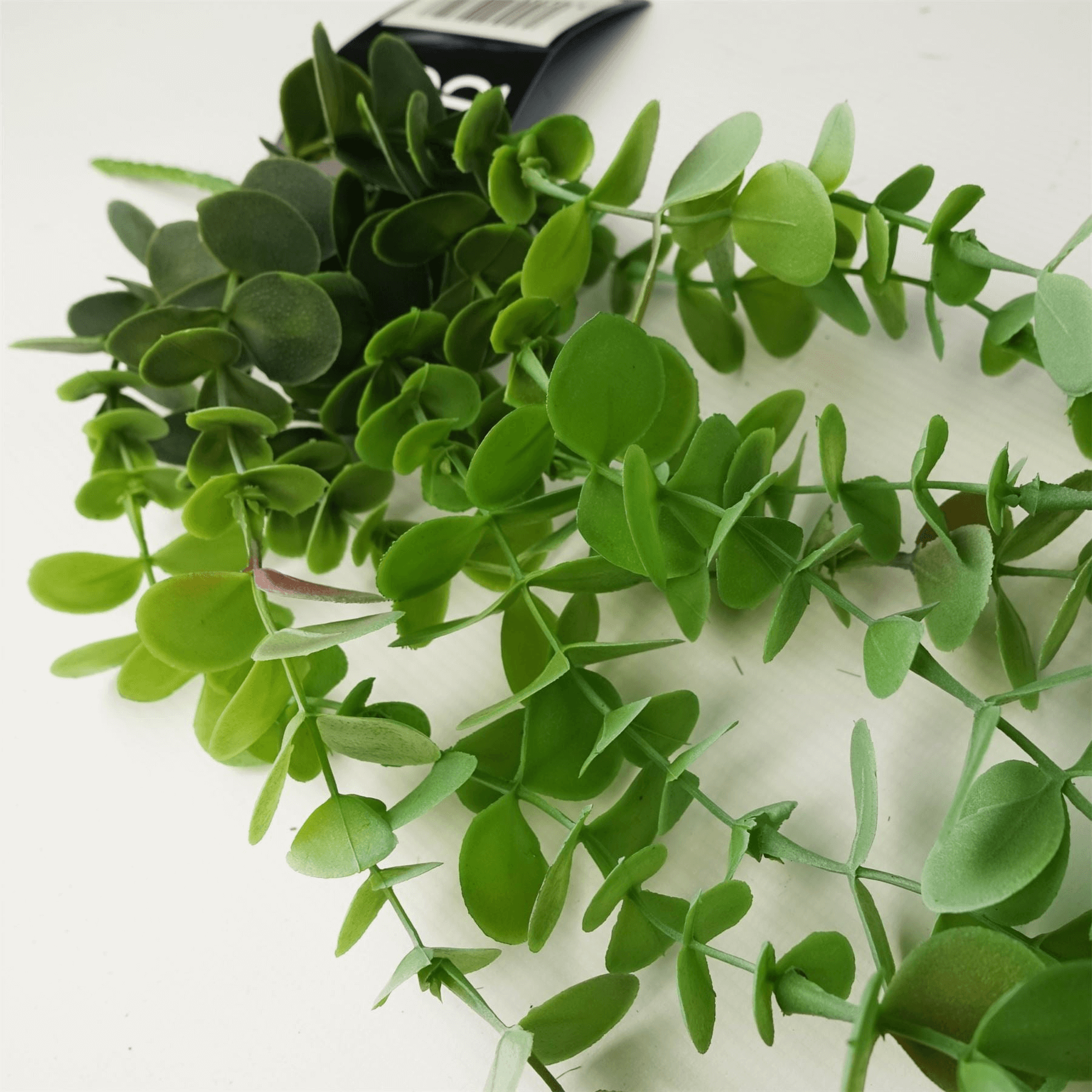 Lifelike Eucalyptus Plant Decor | Leaf Design UK, Transform any space with our realistic Eucalyptus Trailing Plant. Perfect for homes & events, maintenance-free.