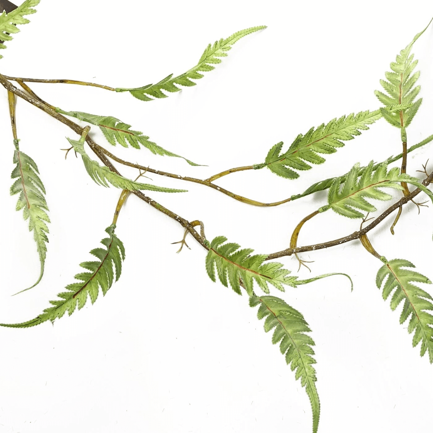 Realistic Artificial Fern Plant - Leaf Design UK, Elevate your space with Leaf Design UK's lifelike Artificial Hanging Trailing Plant. Perfect for any room, no planter needed. Measures 125cm.