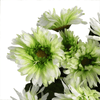 Lifelike Daisy Plant Décor for Home & Office, Elevate your space with our Artificial Plant Flowers Daisy Plant White. Perfectly sized at 33cm for any shelf or table to add a touch of nature.