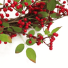 Luxury Red Berry Christmas Wreath | Leaf Design UK, Adorn your home with elegance this holiday. Get the 60cm handcrafted red berry wreath for a festive touch.