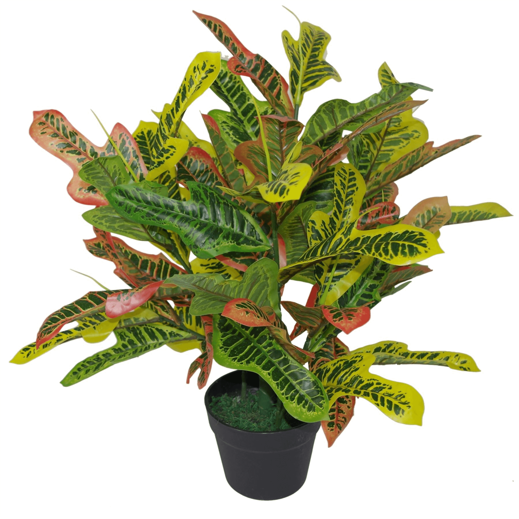 65cm Tropical Artificial Plants for Home Decor Elevate your home with our 65cm Tropical Artificial Plants. Perfect for any room, they add a lifelike tropical touch effortlessly.