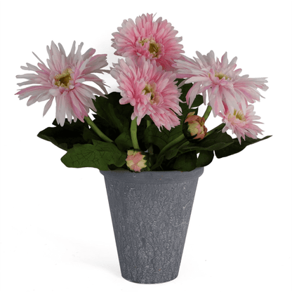 Pink Daisy Artificial Plant with Pot, Elevate your home with our Pink Daisy Artificial Plant in a terracotta pot. Lifelike, high-quality, perfect for any decor.