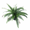 Artificial Boston Plant Pot - 60cm | Realistic Greenery, Bring nature indoors with our 60cm Artificial Boston Bushy Plant Pot. Perfect for homes or offices, it offers lush greenery with zero maintenance.