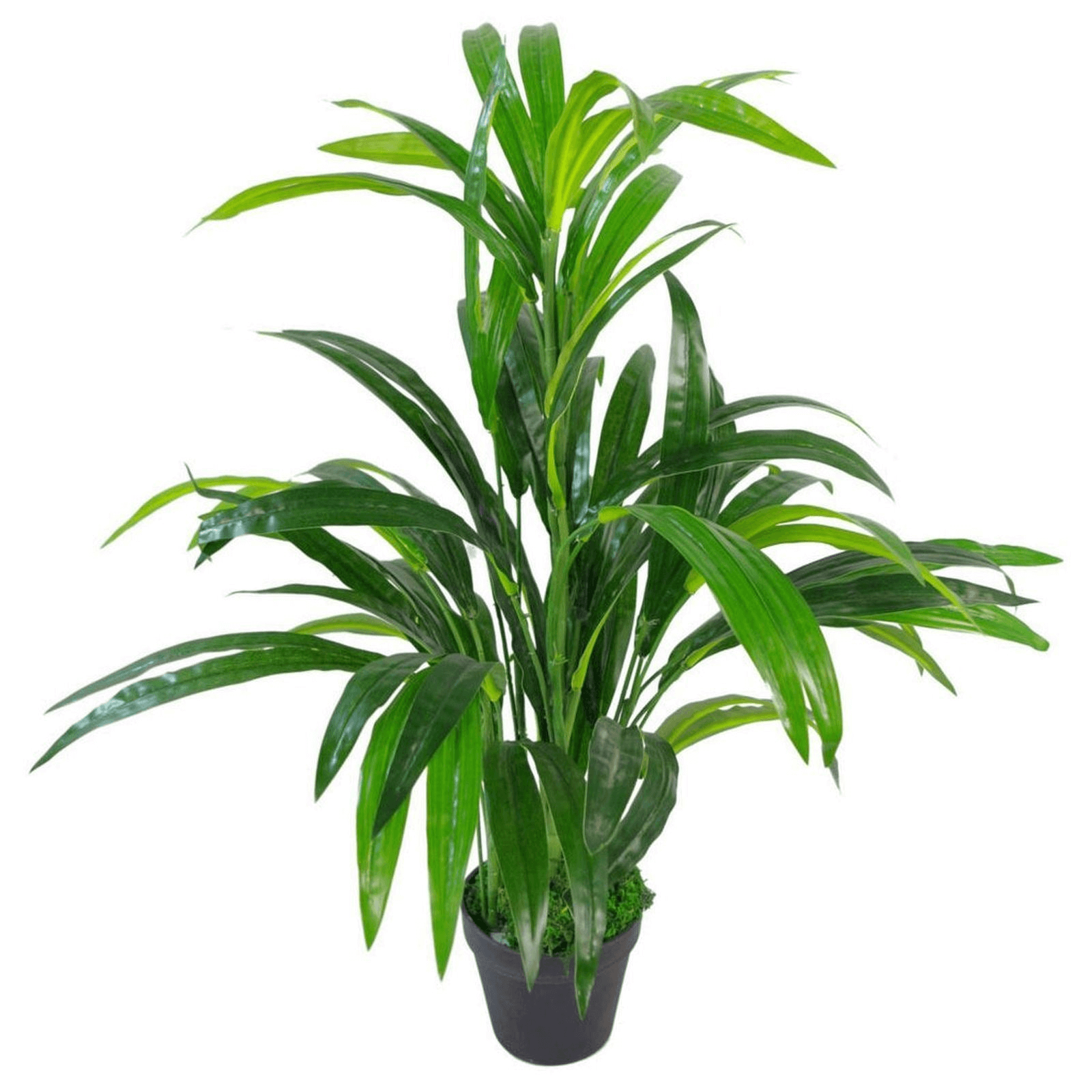 Artificial Bamboo Plant Pot 65cm – Realistic Faux Foliage, Elevate your space with our 65cm Artificial Bamboo Plant. Realistic design mimics real bamboo, adding a touch of greenery to any room.