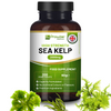 Prowise Sea Kelp 2000mg - 200 Vegan Tablets | Natural Iodine Boost | Sustainably Sourced | Made in the UK