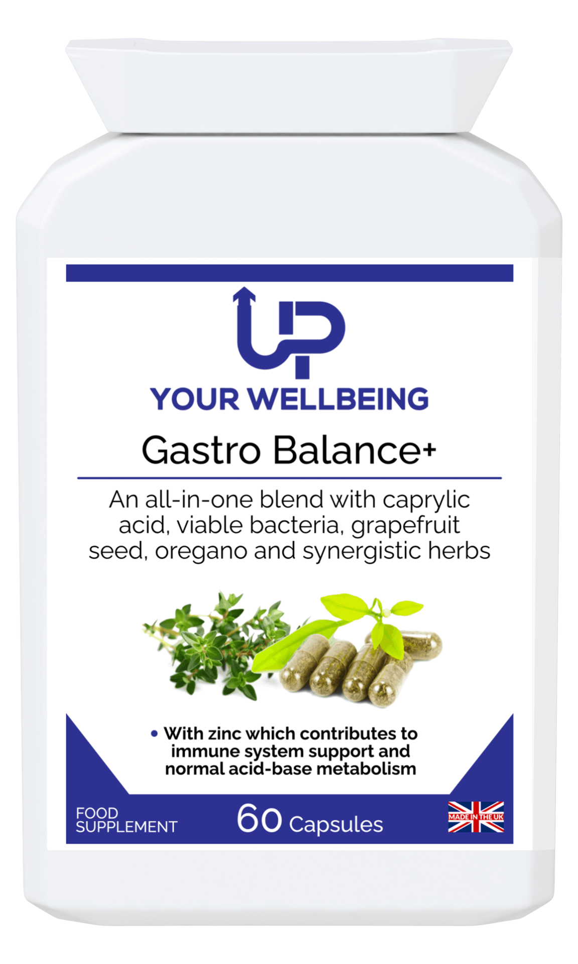 Gastro Balance+ - Advanced GI Support | Zinc & Probiotics, Improve your digestive health with Gastro Balance+, a vegan supplement combining zinc and probiotics with 16 powerful ingredients.